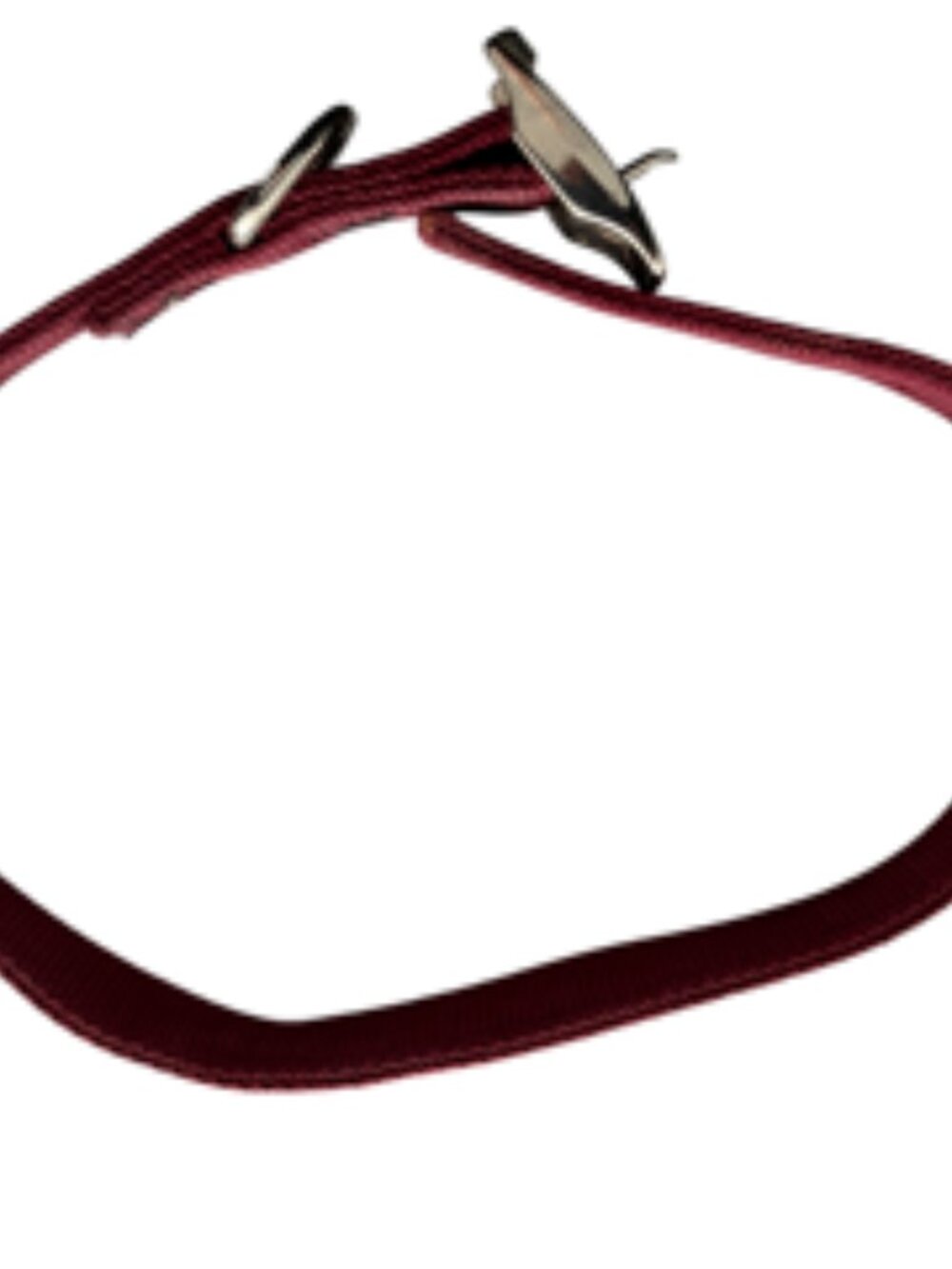 Aspen Pet Dog Collar